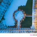 메타세쿼이아랜드 이미지