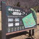 황령산유원지 생태숲 | 황령산 유원지 생태숲/황령산/금련산 유원지 생태숲/금련산/문현동/돌산마을/문현동 황령산 유원지 생태숲