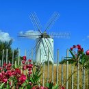 꽃이있는풍경 이미지