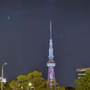 세븐일레븐 탑석센트럴후문점 | 2025.5 부모님과 나고야 가족여행 2일차 일정 (코메다커피 나고야성 노리타케의숲 오스상점가 나고야시...