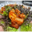 산꼼장어 이미지