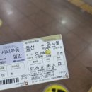 휴가 시리즈:: 코난으로 시작해서 코난으로 끝나는 서울