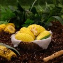 (주)대두식품 이미지