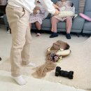 산본제일 산후조리원 이용후기 (VVIP, 특실)
