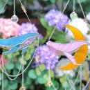 효신초교 병설유치원 이미지