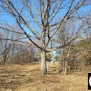 두리봉네거리 좌측 이미지