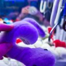 루피 인형뽑기방 이미지