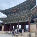 궁궐삼계탕 | 서울 아이와 함께 가볼 만한 곳 추천 여행지 경복궁 방문 후기