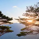웰빙다이어트