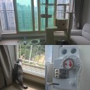 대원에너지 | 이천시 증포동 대원칸타빌아파트 고양이 방묘창 &amp; 잠금장치 시공 추천 후기