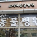 프라하동물병원 이미지