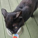 으뇽이네펜션 이미지