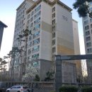 성모엔젤약국 이미지