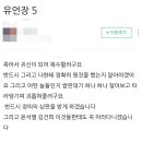 블로그 로또 주작 검색하다가 본건데 이 블로그 뭘까 이미지