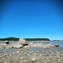 실미해수욕장-해변 이미지