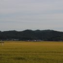 주곡정미소 네이버블로그