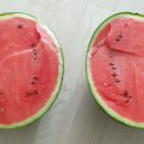 동세종농협 하나로마트 이미지