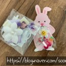 멍뮤니티 네이버블로그