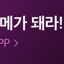 스너그제이 이미지