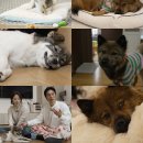 전진농장 이미지