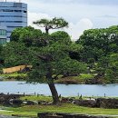 큐&정원 이미지