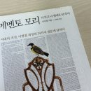 위례순환로 | 성남시위례도서관 : 육아책 도서 상호 대출/이용시간/주차 후기