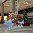 렉스그린(주) | 혼자 (너무) 잘 노는12월 둘째 주 나 이제 i인간일지도..👀