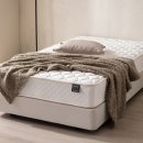 JJ소프트 | '척추, 스트레스 많이 받을거야..' 내 몸에 딱 맞는 매트리스 찾기 자가 진단법(Feat.김동현 밈)