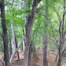 수원-1872 이미지