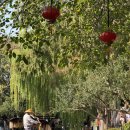 대청우체국 | 수향마을 투어] 한국인 가이드와 함께하는 주가각 수향마을 &amp; 마시청 서커스 관람 투어 강력 추천 후기