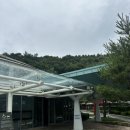 크리스월드빌리지 G-1 | [홍천 숙소] 소노펠리체 빌리지 비발디파크 골드 디럭스 파크뷰 단체 숙소 솔직 후기 (성인 8명)