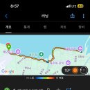 코샷