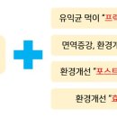 편안한 약국 이미지