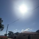 완두콩스테이 이미지