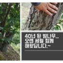 현옥농장 이미지