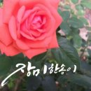 송이와다발 이미지