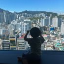 후니피자 | 33개월 아기랑 서면 롯데호텔 부산 디럭스 패밀리 트윈룸 후기 (금호횟집/이재모피자/부산여행/서면맛집)