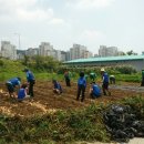 마을농장 이미지