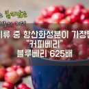 블렌드 이미지