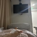 봄날의외과의원 이미지