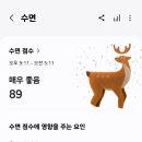 데일리365 이미지