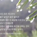 물소리바람소리 이미지