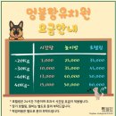 멍블랑 유치원 이미지