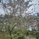 서해안리조트 | [태안] 천리포 수목원 - 태안 가볼만한 곳 필수코스, 만리포해수욕장, 천리포해수욕장 주변