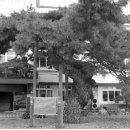 장수마을 이미지