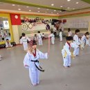 행복한태권도장 이미지