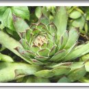 성빈한의원 이미지