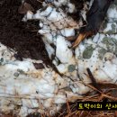 왕림2리 이미지