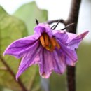 햇살슈퍼 이미지