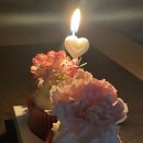 대전 관저동 어버이날 케이크 ‘헤브어케이크’ • 레터링케이크 맛집 내돈내산 솔직 후기